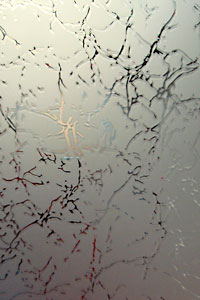 ������� ������